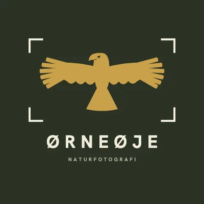 Ørn i søgeren