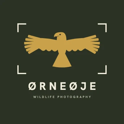 Eagle in focus