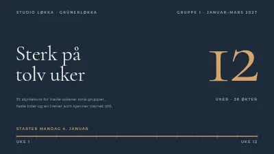 Side 1 av Treningsprogram — 12 ukers styrkekurs