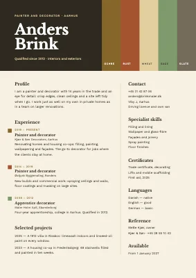 Painter and decorator CV — colour card