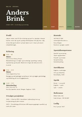CV for maler og dekoratør — fargekart
