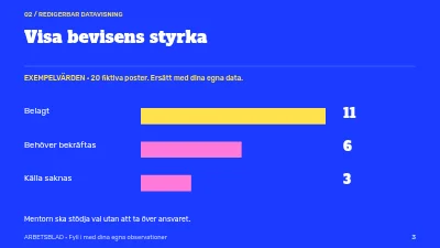Sida 3 av Mentorskap med riktning