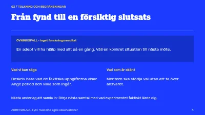 Sida 4 av Mentorskap med riktning