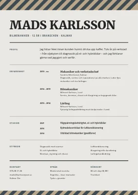 CV för bilmekaniker