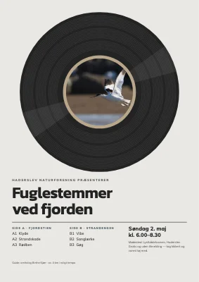 Fugletur ved Haderslev Fjord — fuglestemmer på plade