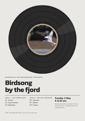 Birdwatching walk by Haderslev Fjord — birdsong on vinyl