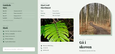 Vandreruter i skoven