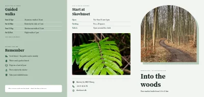Forest walking trails