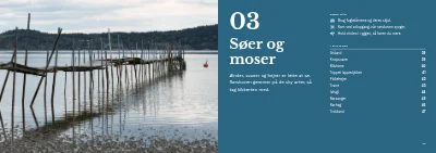 Side 36–37 af Fugleguide for naturcenter – 96 sider