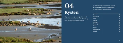 Side 48–49 af Fugleguide for naturcenter – 96 sider