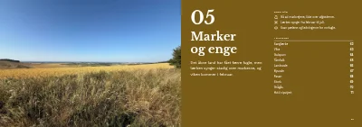 Side 60–61 af Fugleguide for naturcenter – 96 sider