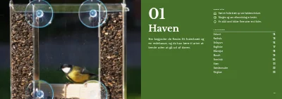Side 12–13 af Fugleguide for naturcenter – 96 sider