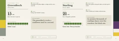 Pages 20–21 of Bird guide for a nature centre – 96 pages