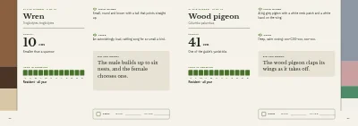 Pages 22–23 of Bird guide for a nature centre – 96 pages