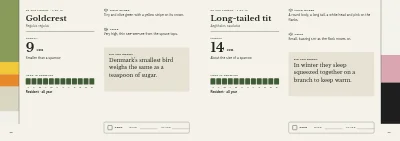 Pages 28–29 of Bird guide for a nature centre – 96 pages