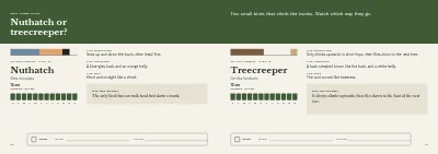 Pages 30–31 of Bird guide for a nature centre – 96 pages