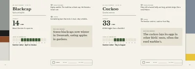 Pages 34–35 of Bird guide for a nature centre – 96 pages
