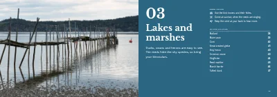 Pages 36–37 of Bird guide for a nature centre – 96 pages