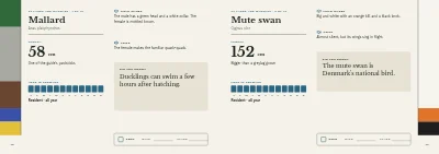 Pages 38–39 of Bird guide for a nature centre – 96 pages