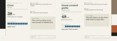 Pages 40–41 of Bird guide for a nature centre – 96 pages