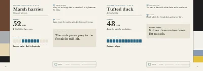 Pages 46–47 of Bird guide for a nature centre – 96 pages