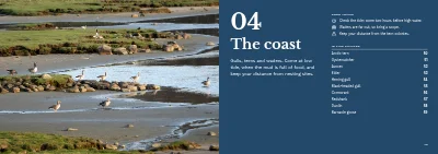 Pages 48–49 of Bird guide for a nature centre – 96 pages