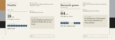 Pages 58–59 of Bird guide for a nature centre – 96 pages