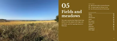 Pages 60–61 of Bird guide for a nature centre – 96 pages