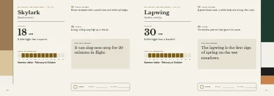 Pages 62–63 of Bird guide for a nature centre – 96 pages