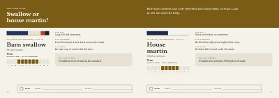 Pages 66–67 of Bird guide for a nature centre – 96 pages