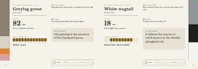 Pages 70–71 of Bird guide for a nature centre – 96 pages