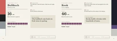 Pages 82–83 of Bird guide for a nature centre – 96 pages
