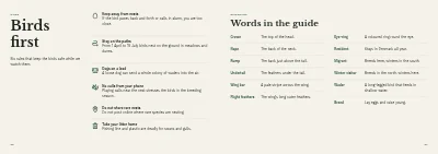 Pages 92–93 of Bird guide for a nature centre – 96 pages