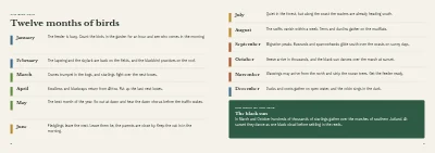 Pages 8–9 of Bird guide for a nature centre – 96 pages