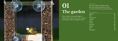 Pages 12–13 of Bird guide for a nature centre – 96 pages
