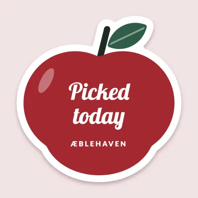 The apple, picked today