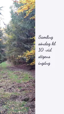 Sida 3 av Ut ur inkorgen · mjuk wellness