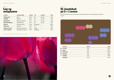 Side 26–27 af Sæsonkatalog for havecenter – 96 sider