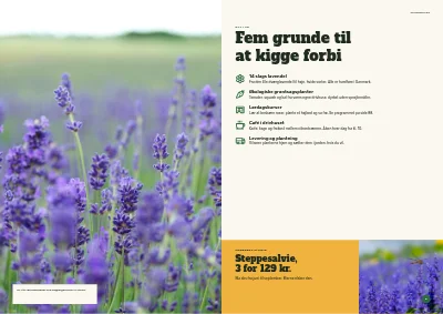 Side 4–5 af Sæsonkatalog for havecenter – 96 sider