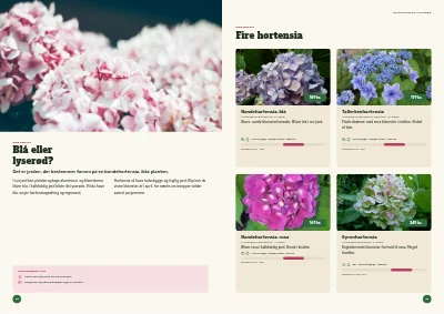 Side 14–15 af Sæsonkatalog for havecenter – 96 sider