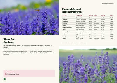 Pages 18–19 of Season catalogue for a garden centre – 96 pages