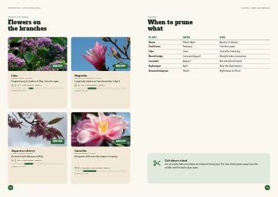 Pages 48–49 of Season catalogue for a garden centre – 96 pages