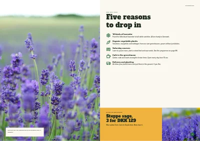 Pages 4–5 of Season catalogue for a garden centre – 96 pages