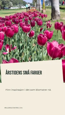 Sesongens små farger · Diagonalt folio