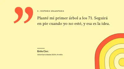 Página 7 de Informe anual — plantación de árboles