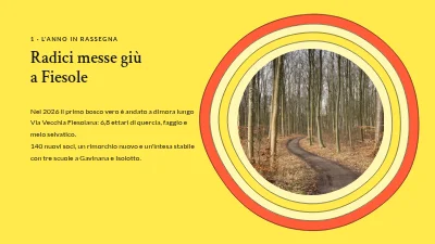 Pagina 3 di Rapporto annuale — piantumazione di alberi