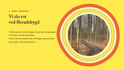 Side 3 av Årsrapport — treplanting