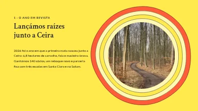Página 3 de Relatório anual — plantação de árvores