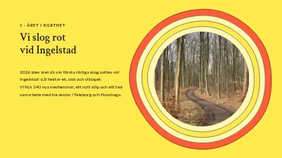 Sida 3 av Årsrapport — trädplantering