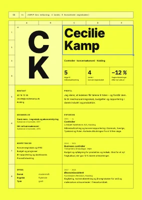 CV til controller — regneark